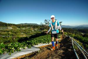 BIB: 660
                            <button type="button" onclick="openModal(19115614)" class="btn btn-primary btn-sm float-right btn-popup" data-toggle="modal" data-target=".modal-high-quality">
                        <i class="fas fa-shopping-cart"></i> Add to Cart
                    </button>
                                            <button type="button" onclick="isThisMe(19115614, true)" class="btn btn-success btn-sm float-right btn-popup btn-isme hidden" data-toggle="tooltip" data-placement="bottom" title="นี่คือรูปของคุณใช่ไหม คลิกที่นี่เพื่อเอาเข้าอัลบั้ม">
                        <i class="fas fa-plus"></i> Add to album
                    </button>
                    <button type="button" onclick="isThisMe(19115614, false)" class="btn btn-warning btn-sm float-right btn-popup btn-isnotme hidden">
                        <i class="fas fa-ban"></i> Remove from album
                    </button>